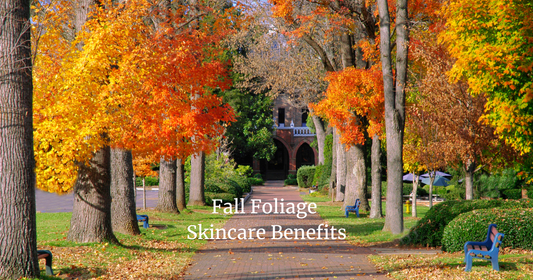 Enjoy Fall Foliage And Improve Your Skin All At The Same Time, Here’s How