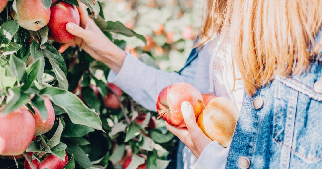 The Top 3 Reasons Apple Picking Is Good For Your Skin
